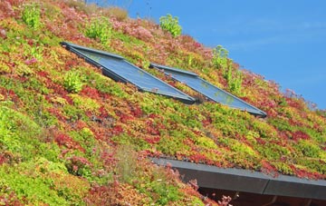 Boyden End living roof systems