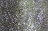 Boyden End fibreglass roof work